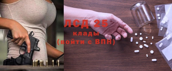 гашик Нефтекумск