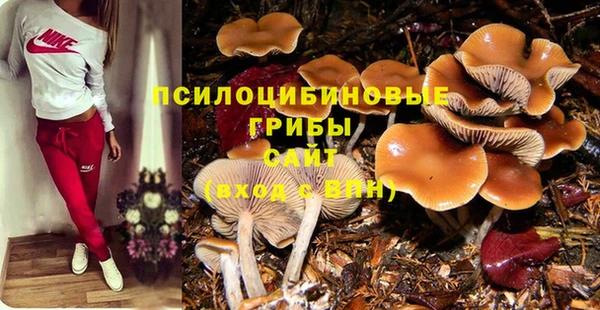 СК Новокубанск