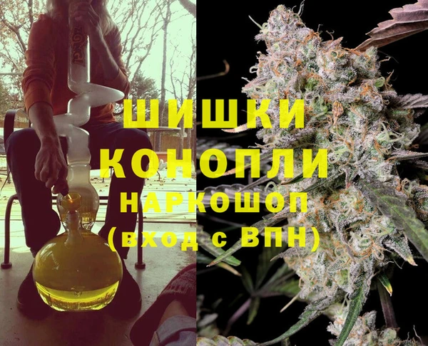 гашик Нефтекумск