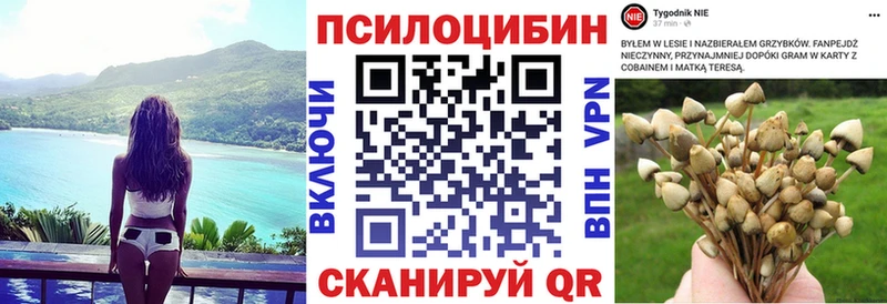Галлюциногенные грибы мухоморы  Сергач 